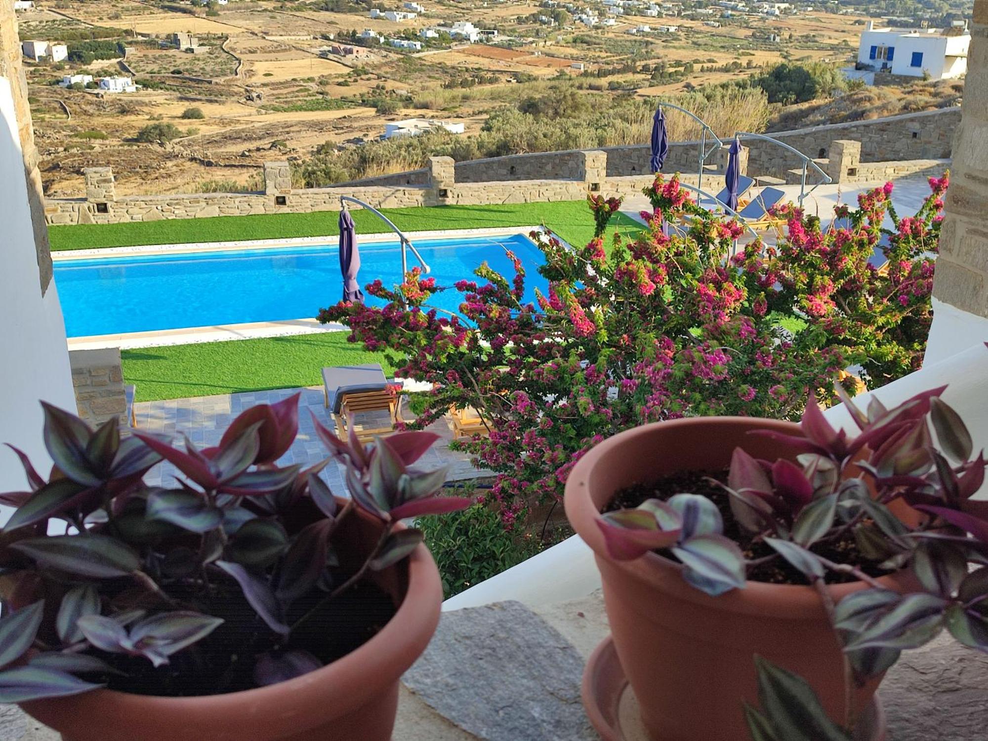 Pleiades Paros Family Apartments ภายนอก รูปภาพ